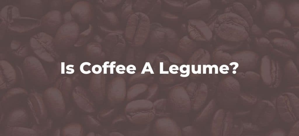 Is coffee a legume?