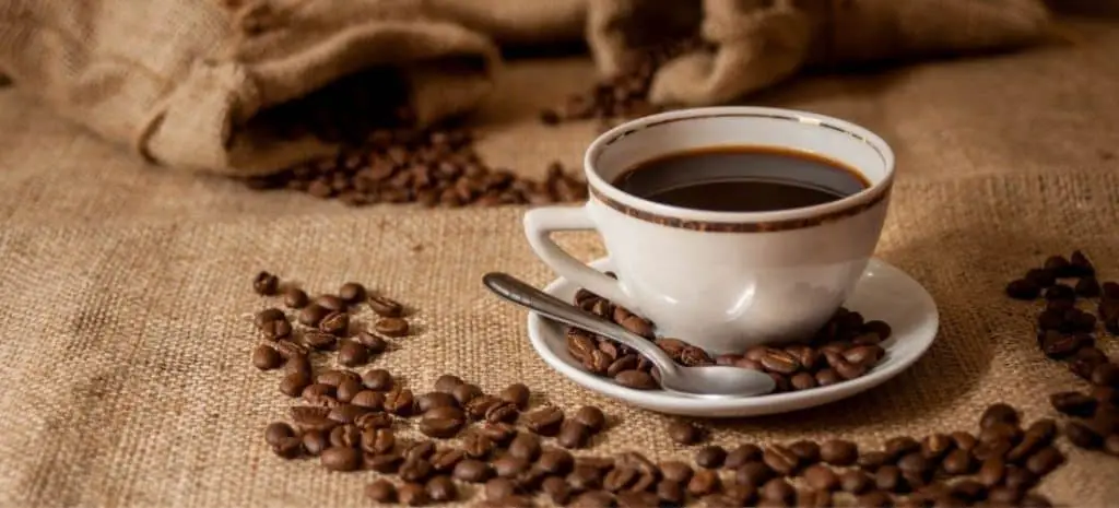 Which Coffee Is Right For You? – Finding Your Go-To Coffee!