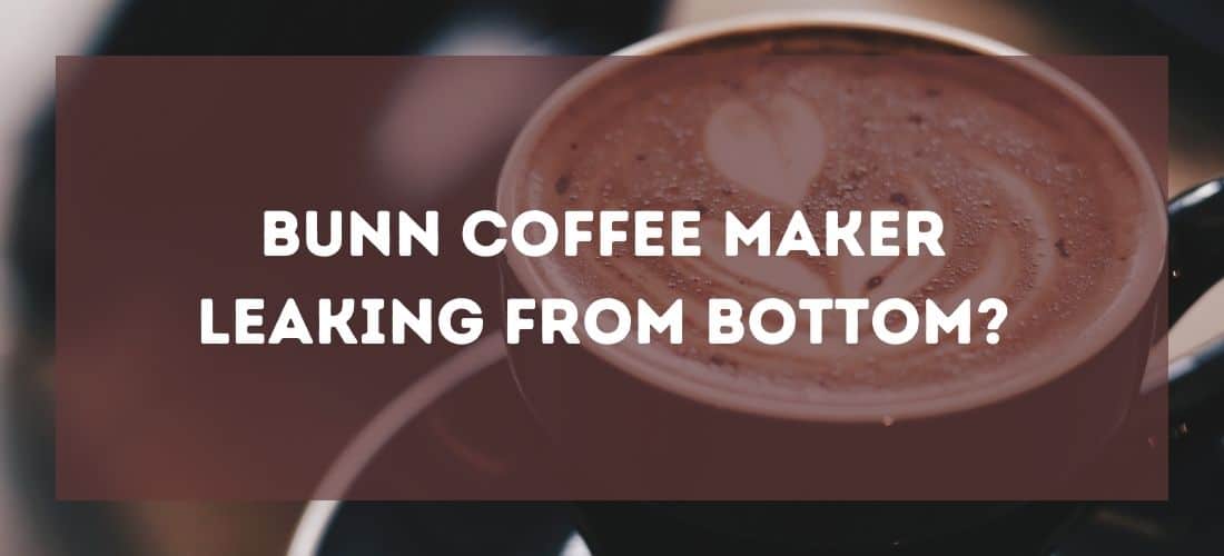 Bunn Coffee Maker Leaking From Bottom? [Stop It Now!]