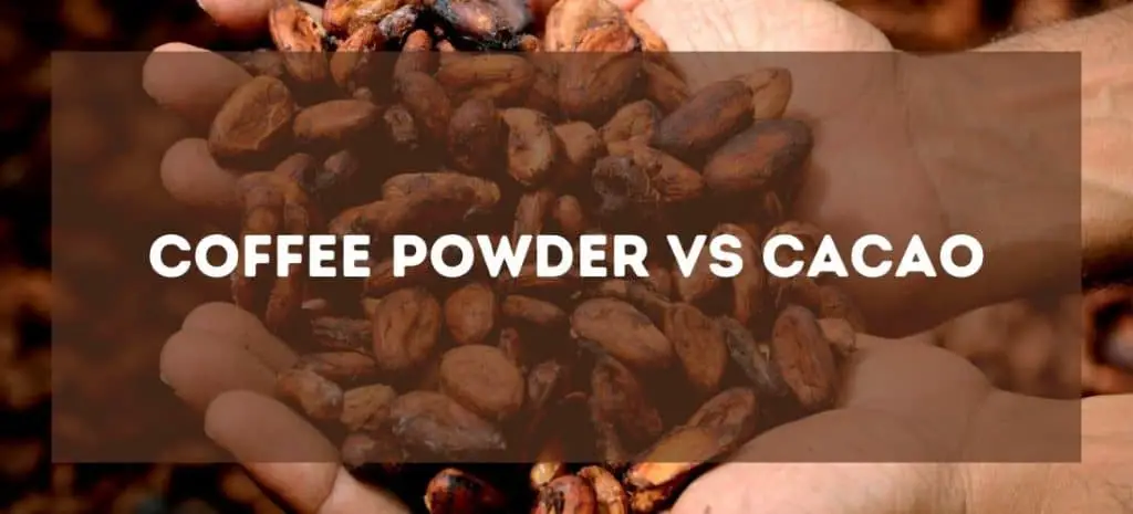 Coffee powder vs cacao